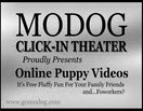 Join MODOG Puppy Links