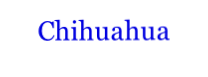 Chihuahua