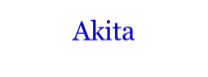 Akita
