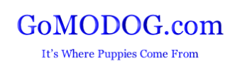 GoMODOG.com

It’s Where Puppies Come From



