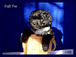 Malti Poo