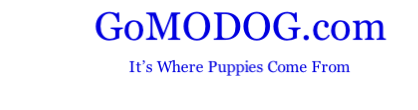 GoMODOG.com
