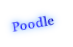 Poodle

