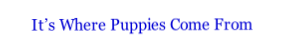 It’s Where Puppies Come From